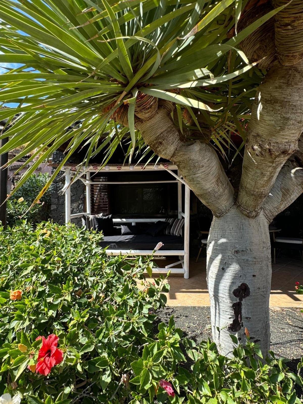 Castillo Lanzarote Villa Bailey - Luxury Villa - Pet Friendly With Heated Pool La Asomada  Exteriör bild