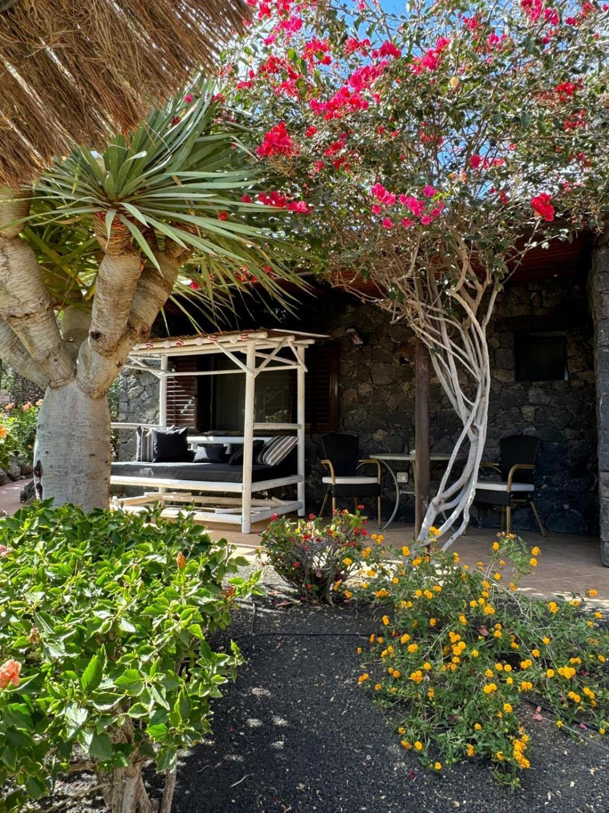 Castillo Lanzarote Villa Bailey - Luxury Villa - Pet Friendly With Heated Pool La Asomada  Exteriör bild